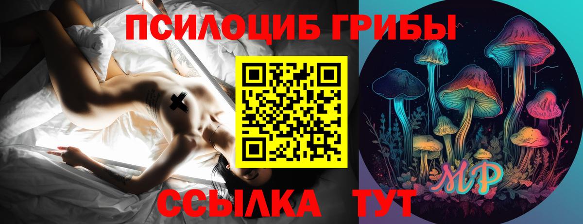 Видное  Псилоцибиновые грибы MAGIC MUSHROOMS  Вход с VPN 